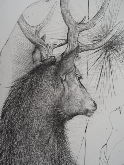 Acteon, Cerf et Jeune Femme Radierung von Pierre-Yves Tremois