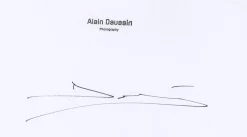 Alain Daussin, Altes Telefon, 2013, Papier