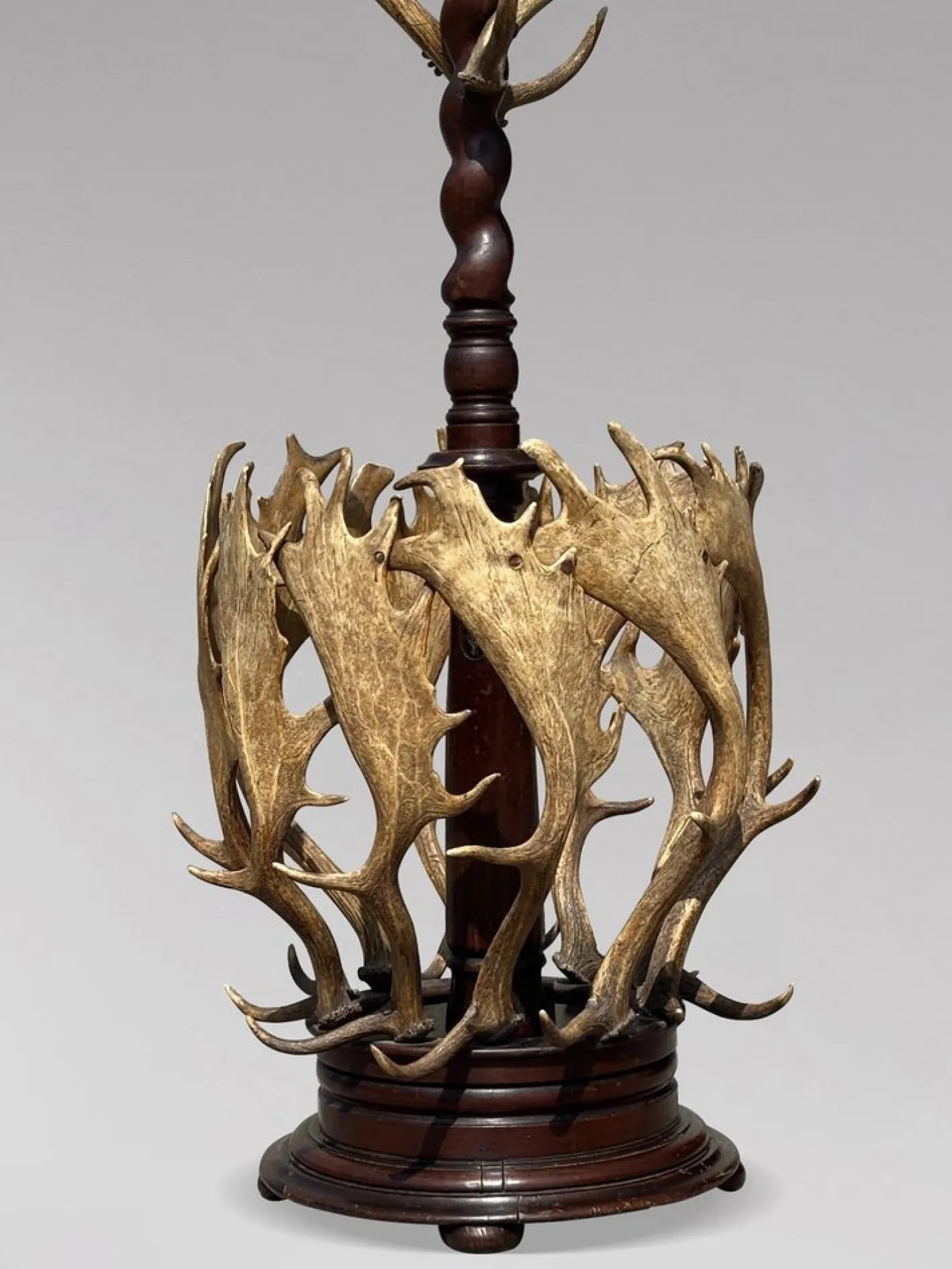 Antiker Garderobenständer aus Geweih von J. Parker of Woodstock, 1850