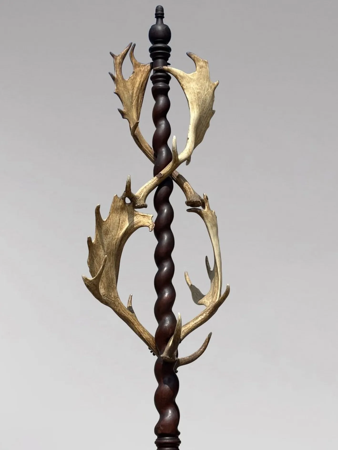 Antiker Garderobenständer aus Geweih von J. Parker of Woodstock, 1850