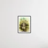 Barbara Rosiak, Daphne, Radierung auf Papier, 1985