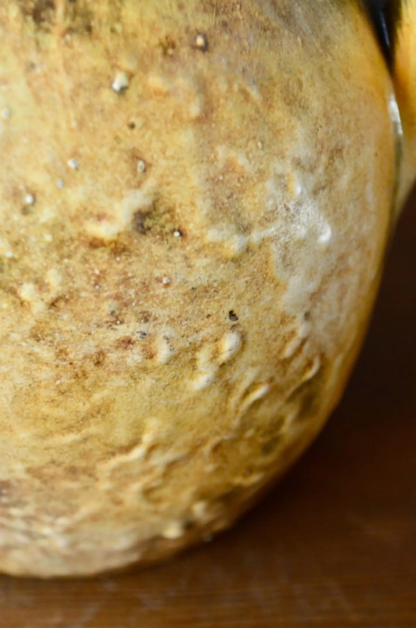 Brutalistische Keramik von Perigordine Pottery