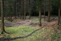 Come With Me 3, Ellie Davies, Fotografie, Britisch, 2011
