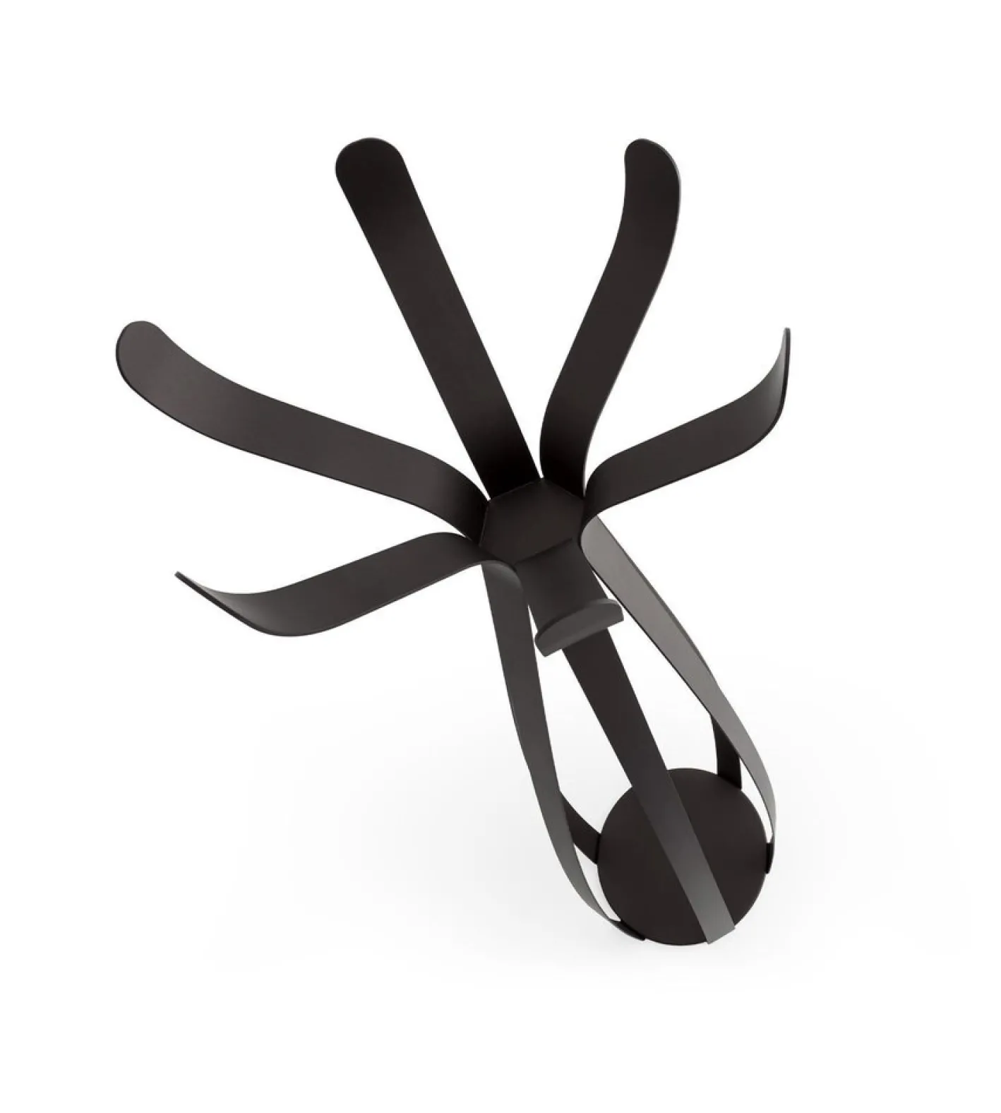 Dunkel polierte Ficus Garderobe von Morica Design