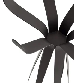 Dunkel polierte Ficus Garderobe von Morica Design