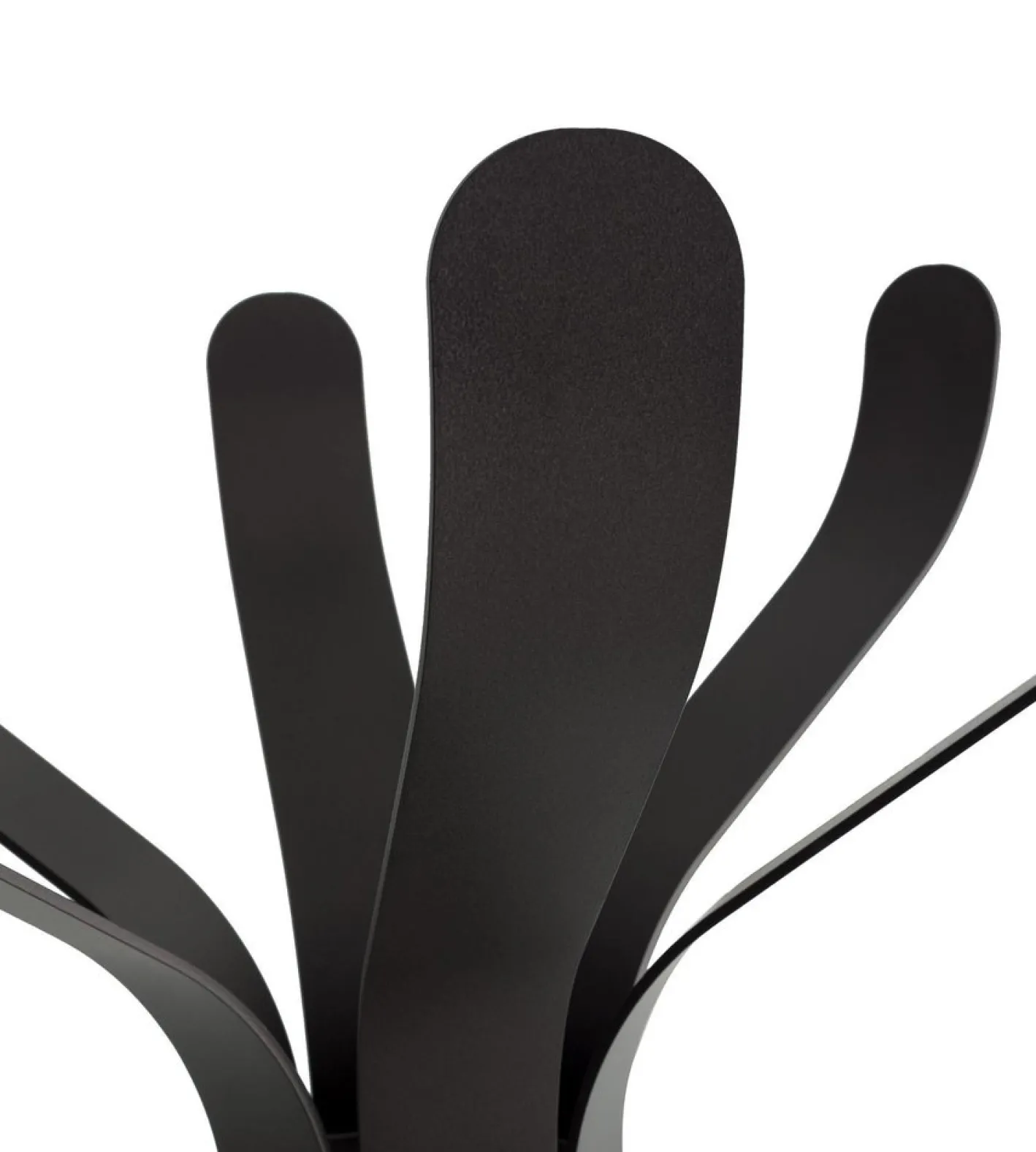 Dunkel polierte Ficus Garderobe von Morica Design