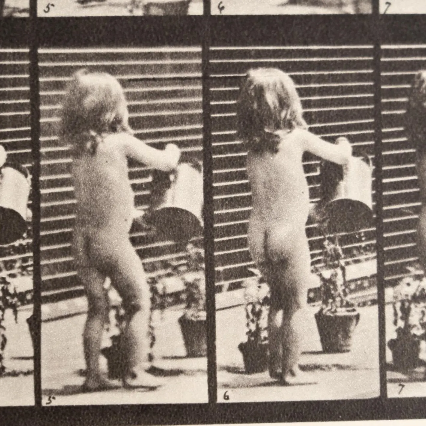 Eadweard Muybridge, Schwarz-Weiß-Bild, 1982, Fotografie, Gerahmt