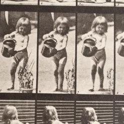 Eadweard Muybridge, Schwarz-Weiß-Bild, 1982, Fotografie, Gerahmt