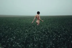 Igor Ustynskyy, Junge nackte Frau in einer Wiese, Fotopapier