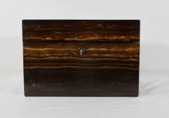 19. Jahrhundert Toilettenbox aus Holz von John Bagshaw & Sons, England