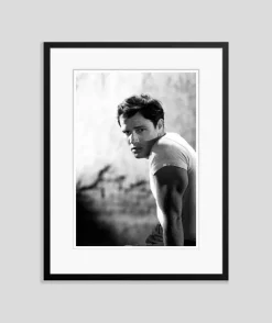 Marlon Brando Archivdruck in Schwarz