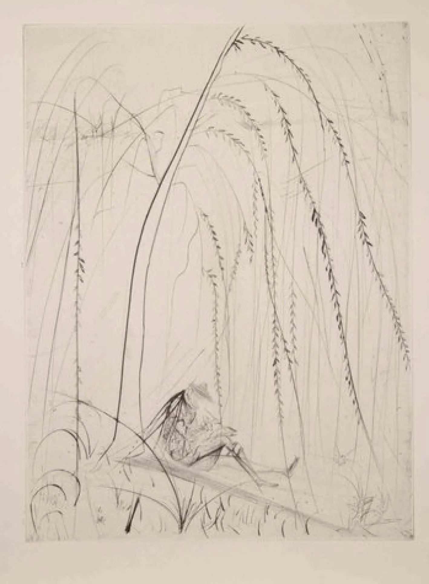 Salvador Dalì, Weinende Weide, 1968, Radierung
