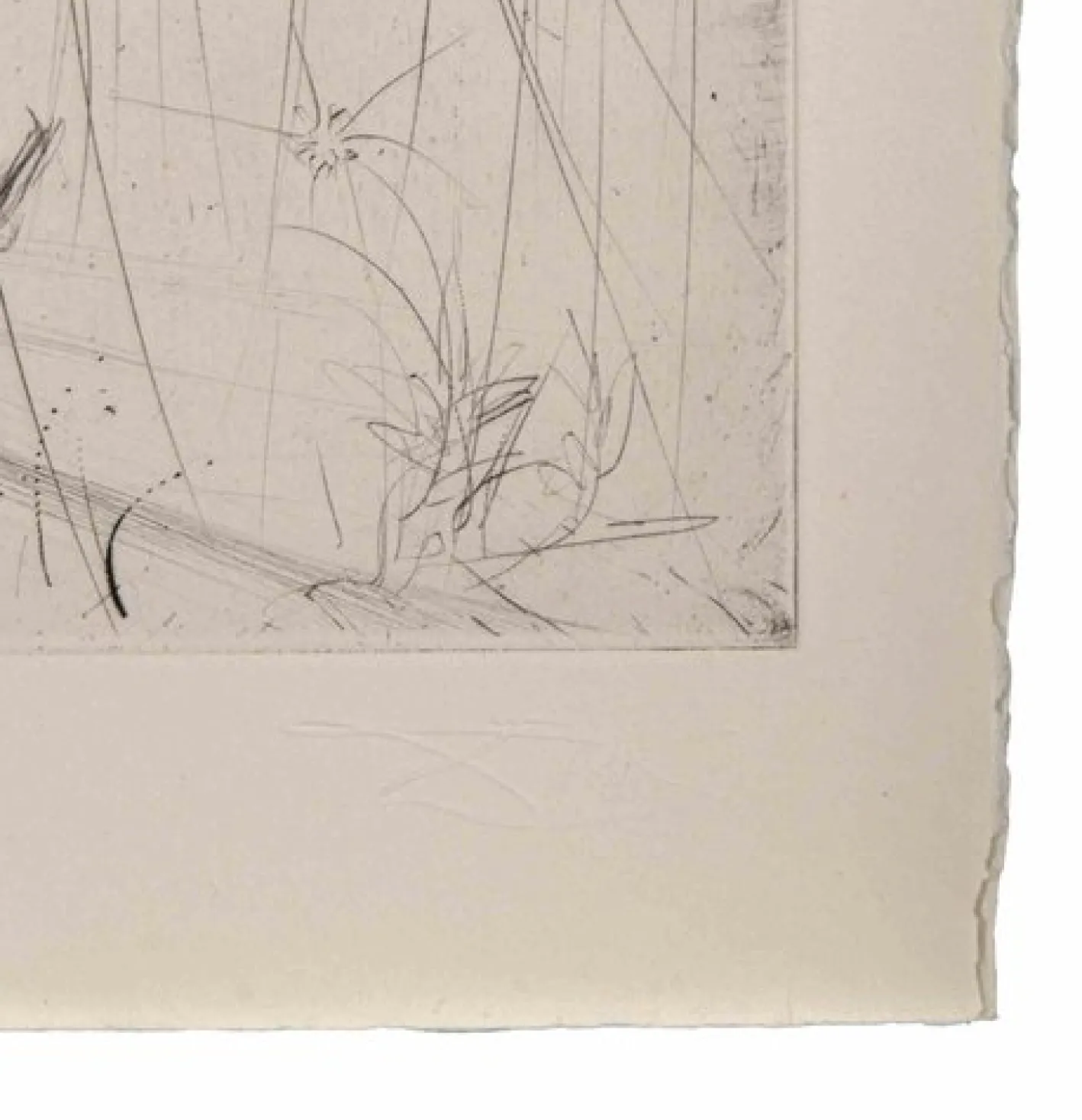 Salvador Dalì, Weinende Weide, 1968, Radierung