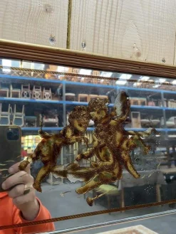 Venezianischer Jugendstil Bistro oder Brasserie Spiegel aus Eglomisé Glas