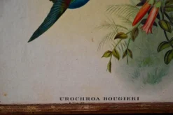 Viktorianischer Raumteiler mit Vögeln & Rosen, 1940er