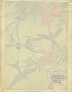 William Neave Parker, Kolibris Illustration, 1950er, Gouache